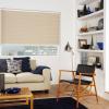 Vision Roller Blind