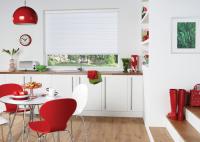 Vision Roller Blind