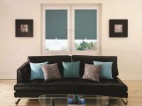 Carnival Teal